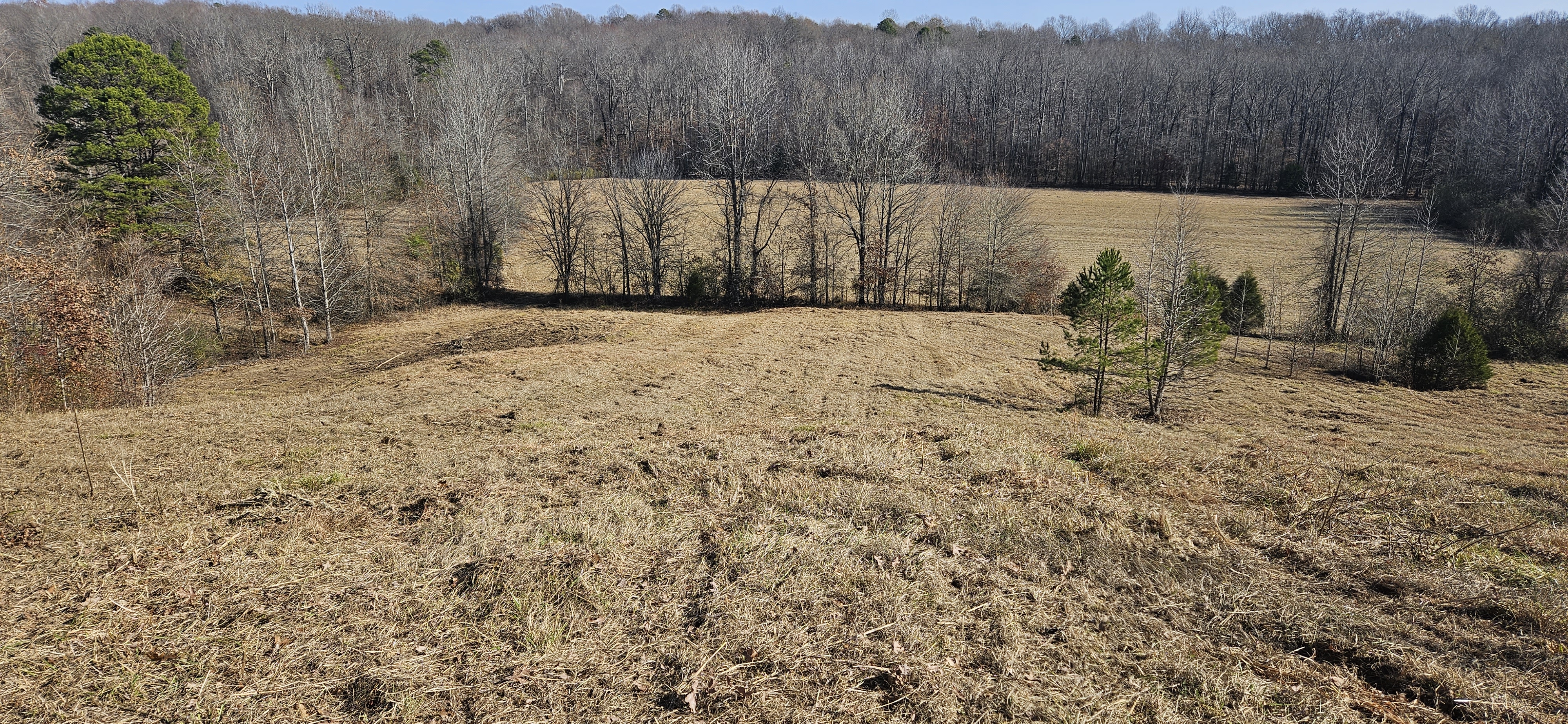Completed hillside clearing from second angle