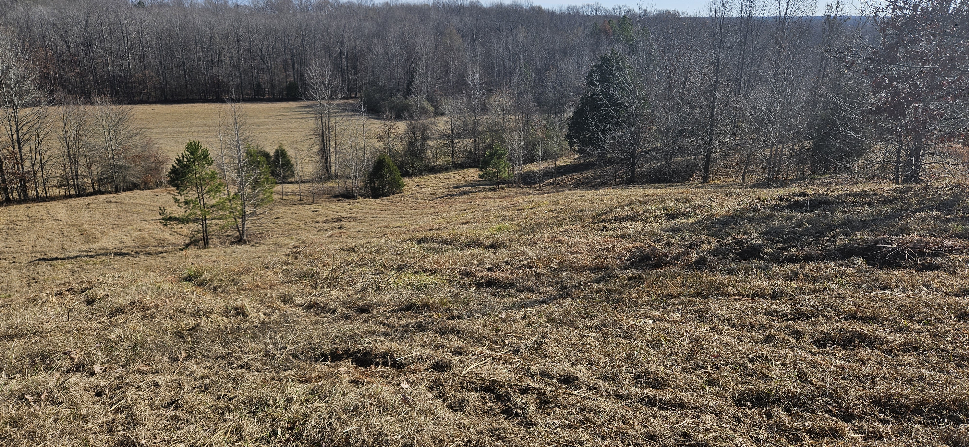 Cleared hillside after brush hogging