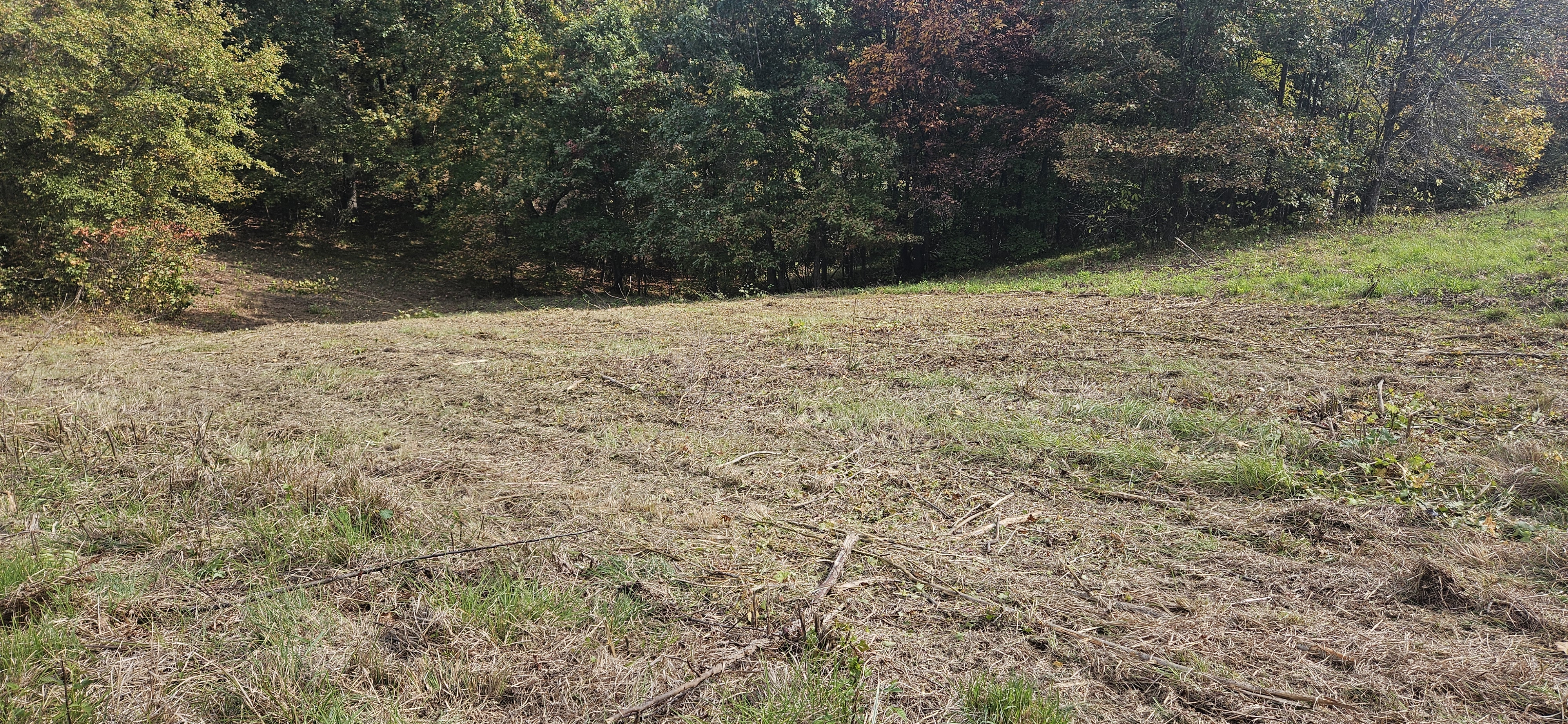 Second view of reclaimed field after clearing