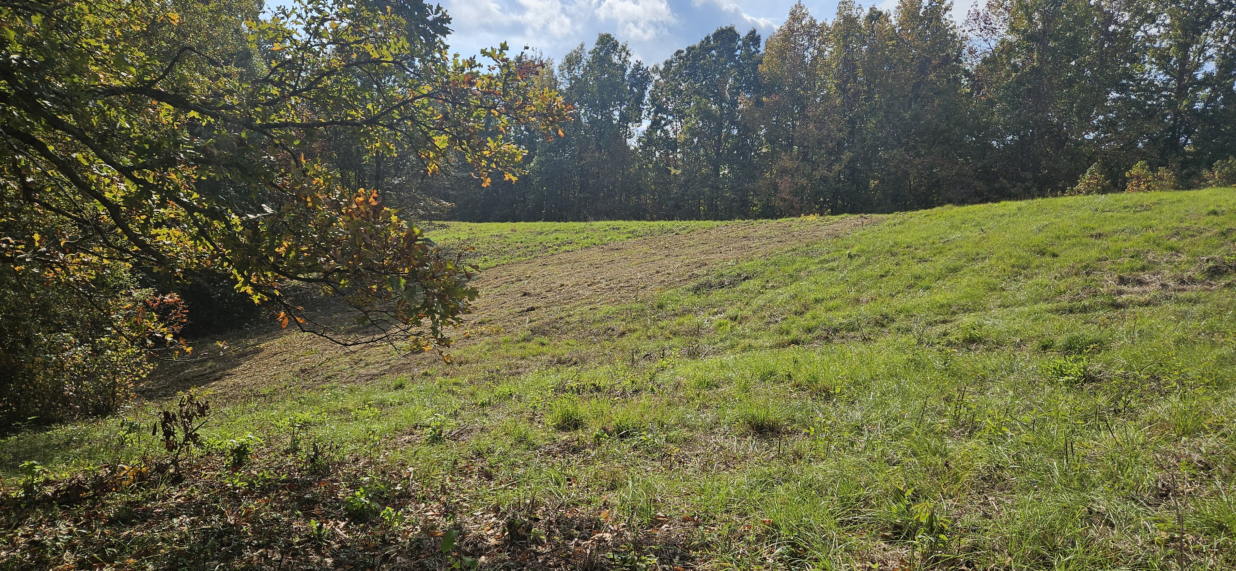 Reclaimed field after brush hogging