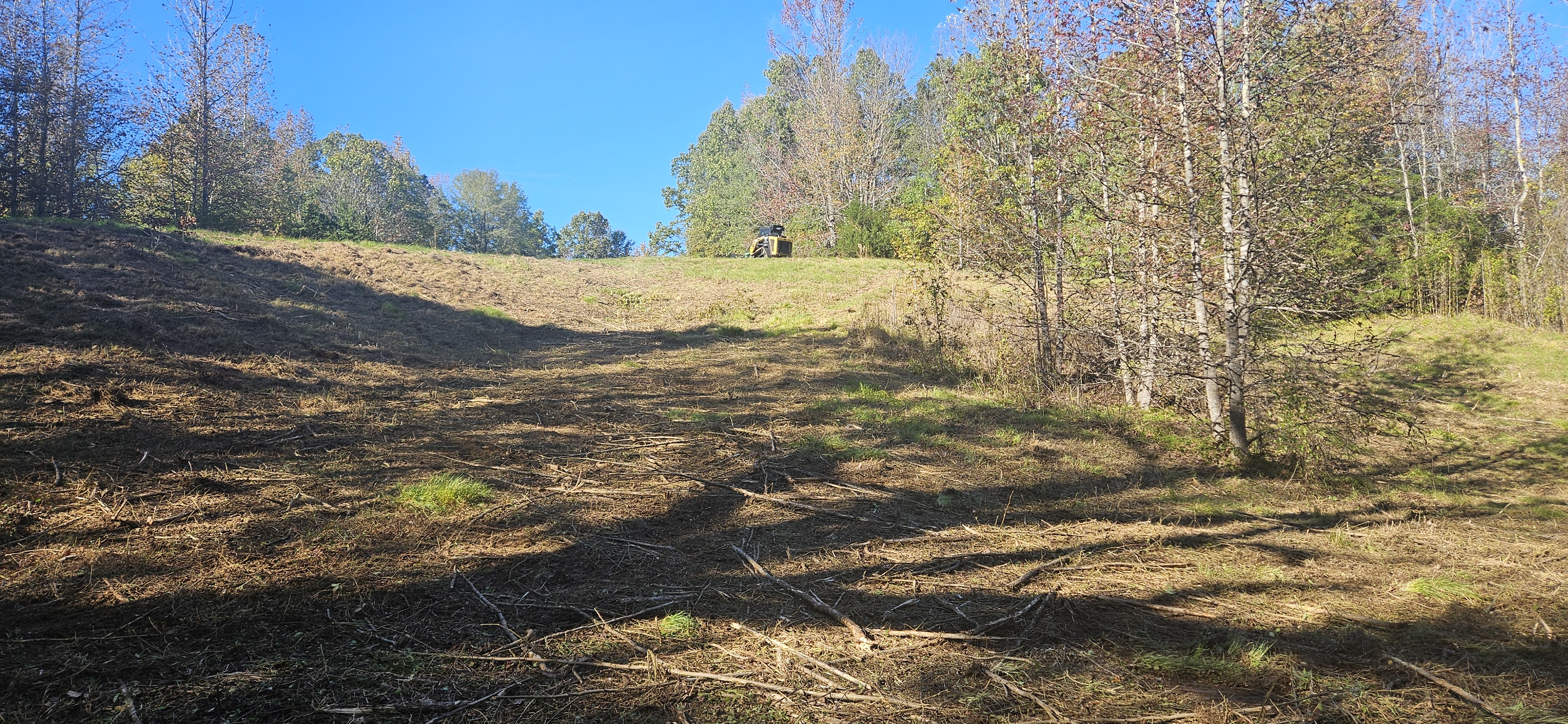 Steep hillside cleared by ASV RT-75 skid steer showing no terrain is too tough