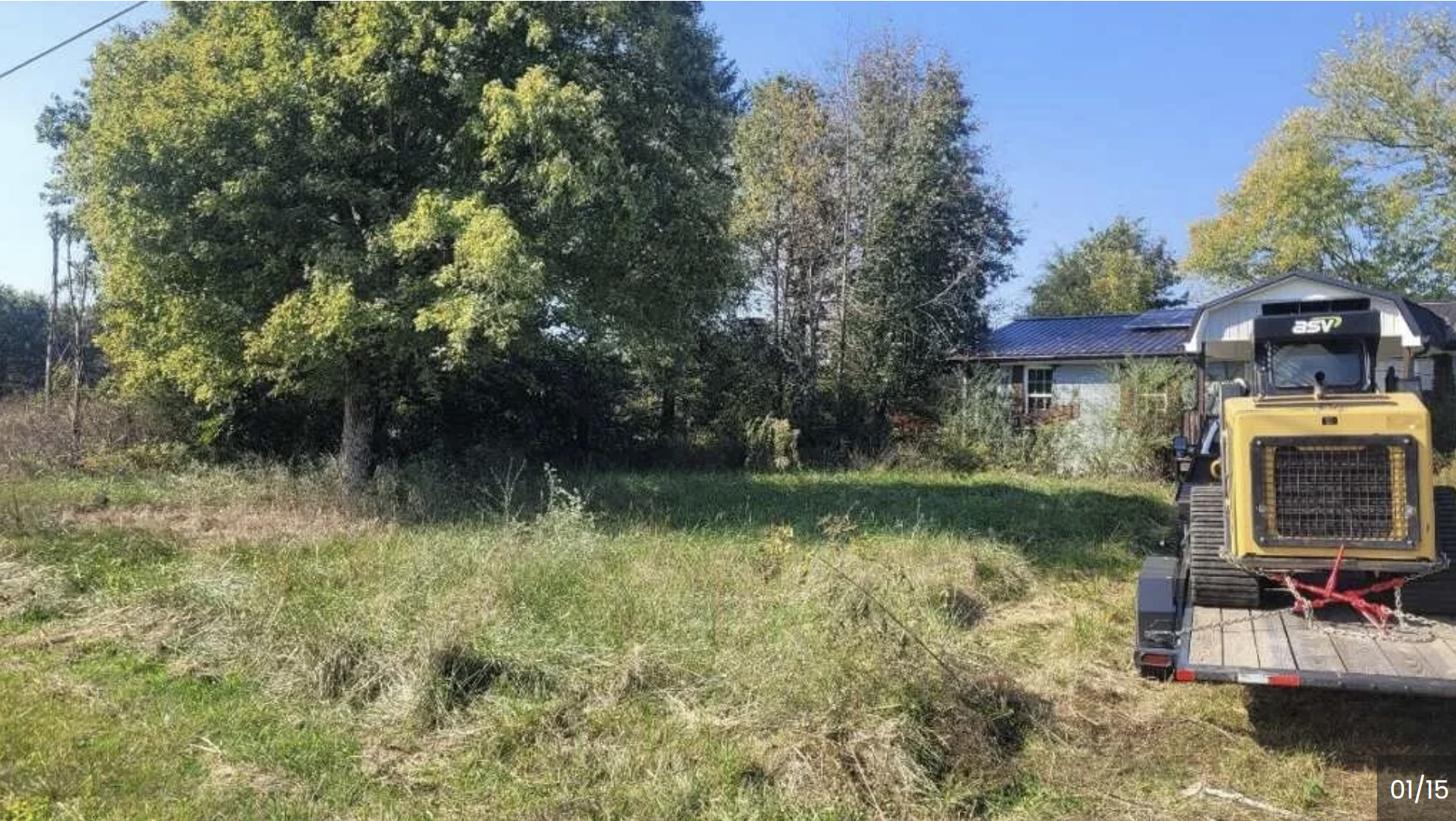 Overgrown residential property before clearing