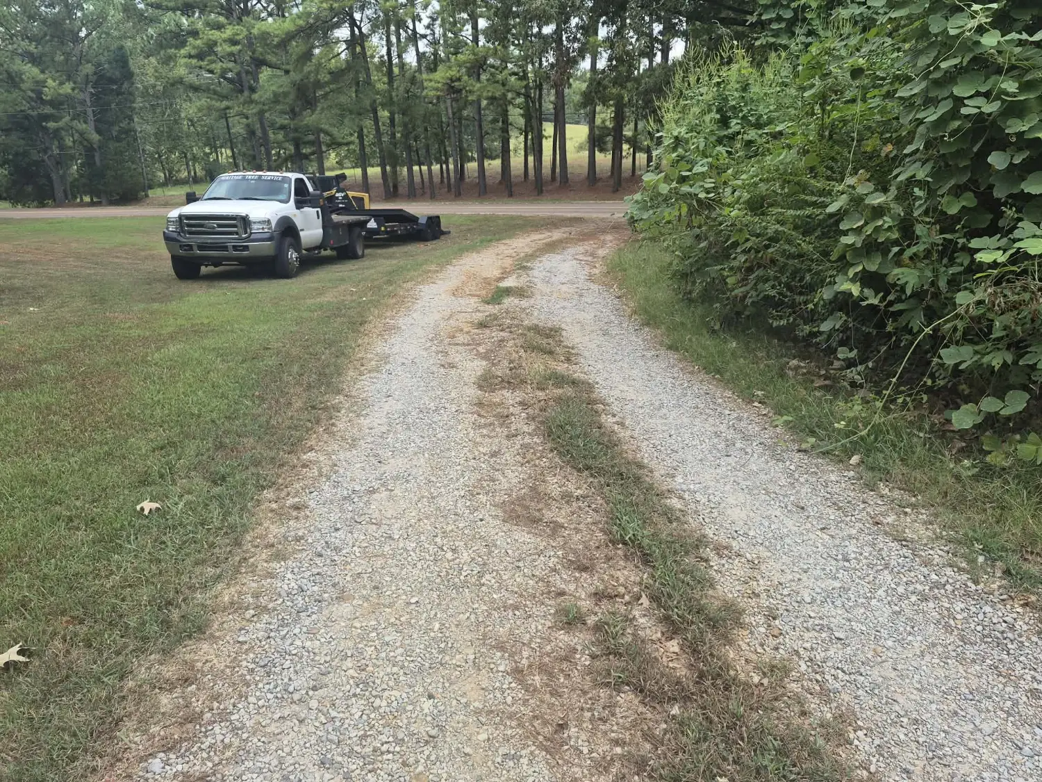 Worn gravel driveway with two tire ruts and grass growing down the center before resurfacing