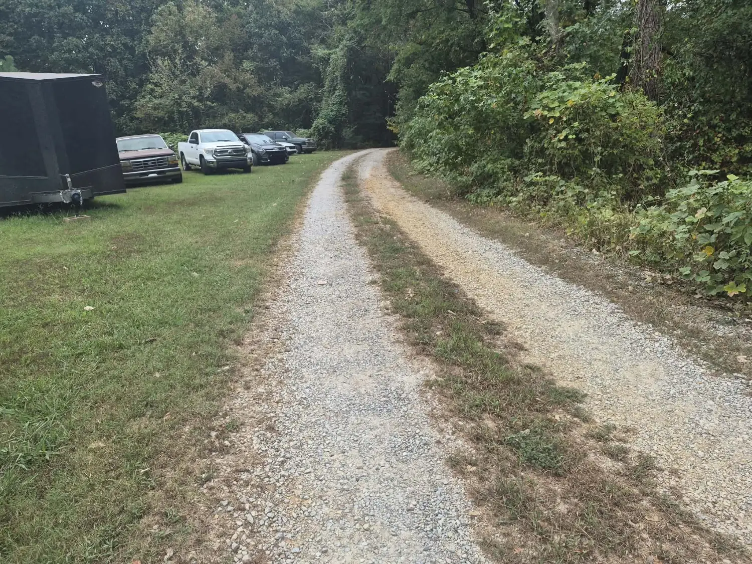 Rutted gravel driveway with weeds in the middle strip leading to a wooded property in Mississippi