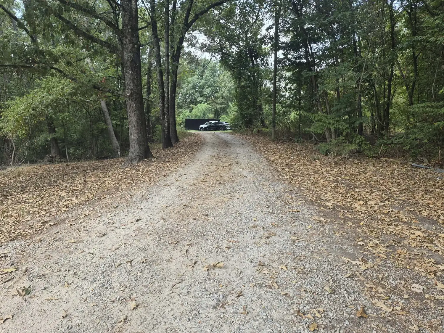 Thin, faded gravel driveway covered in leaves under trees before resurfacing